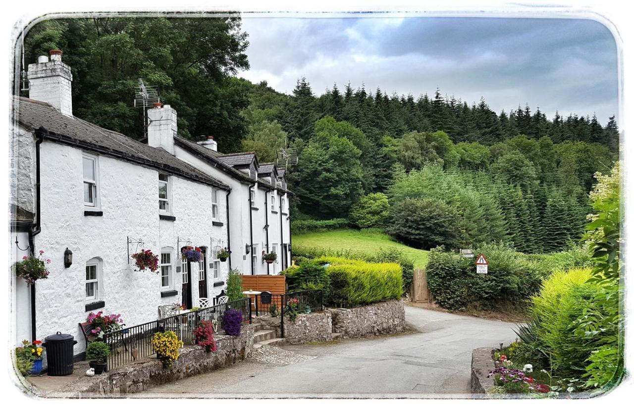 River Cottage เซนต์แอซัฟ ภายนอก รูปภาพ
