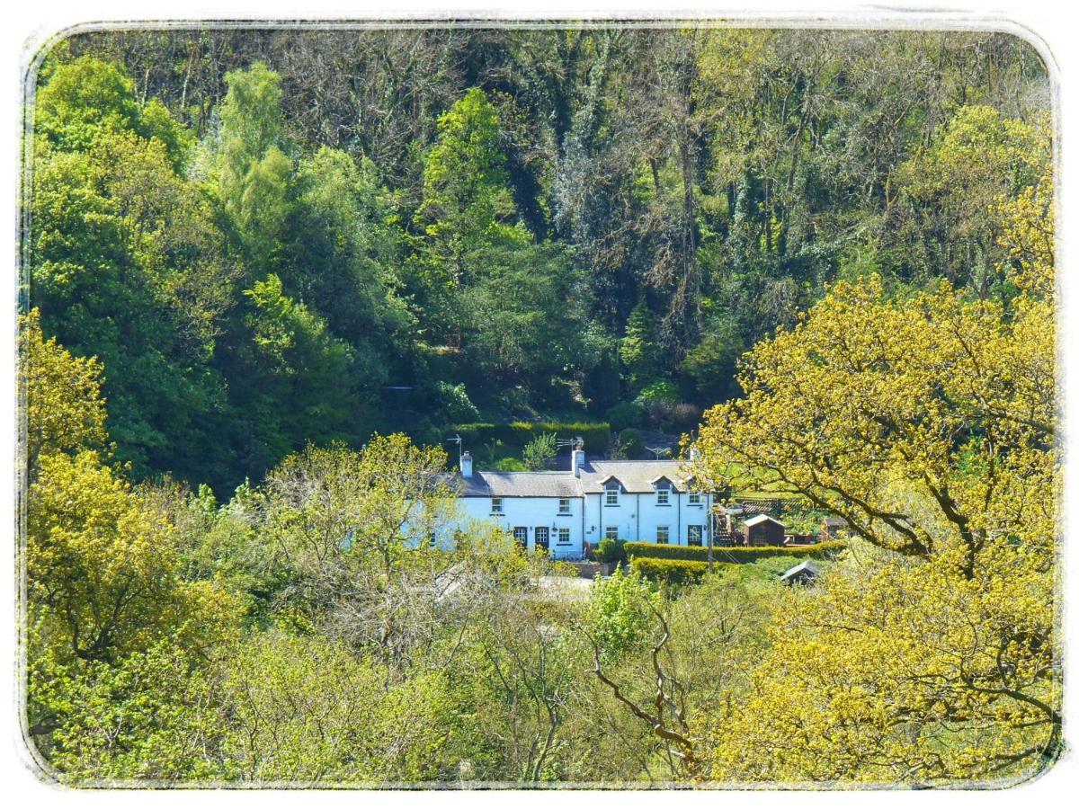 River Cottage เซนต์แอซัฟ ภายนอก รูปภาพ