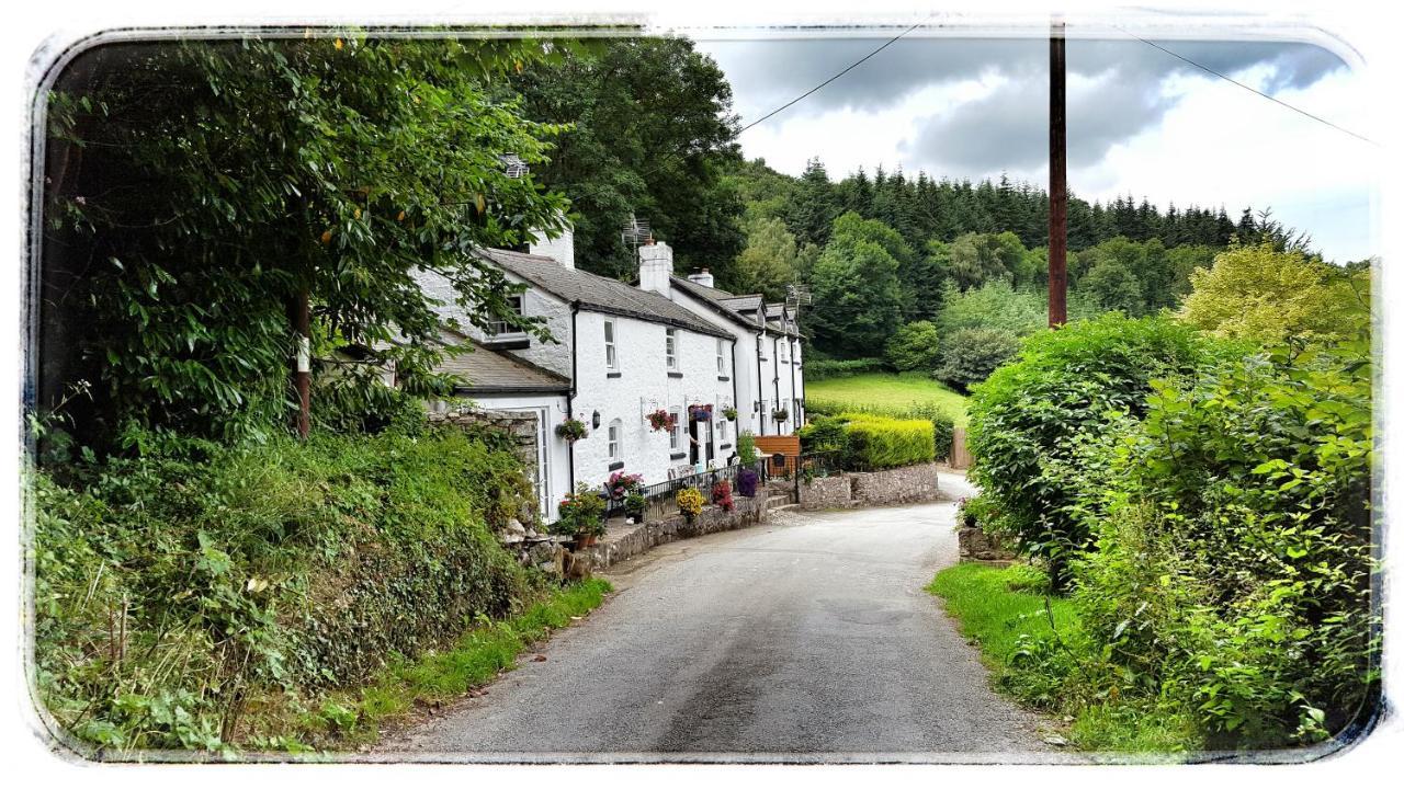 River Cottage เซนต์แอซัฟ ภายนอก รูปภาพ