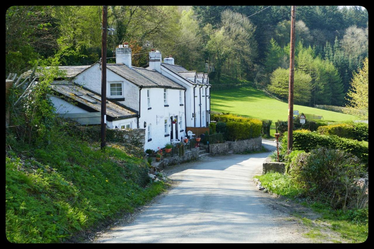 River Cottage เซนต์แอซัฟ ภายนอก รูปภาพ